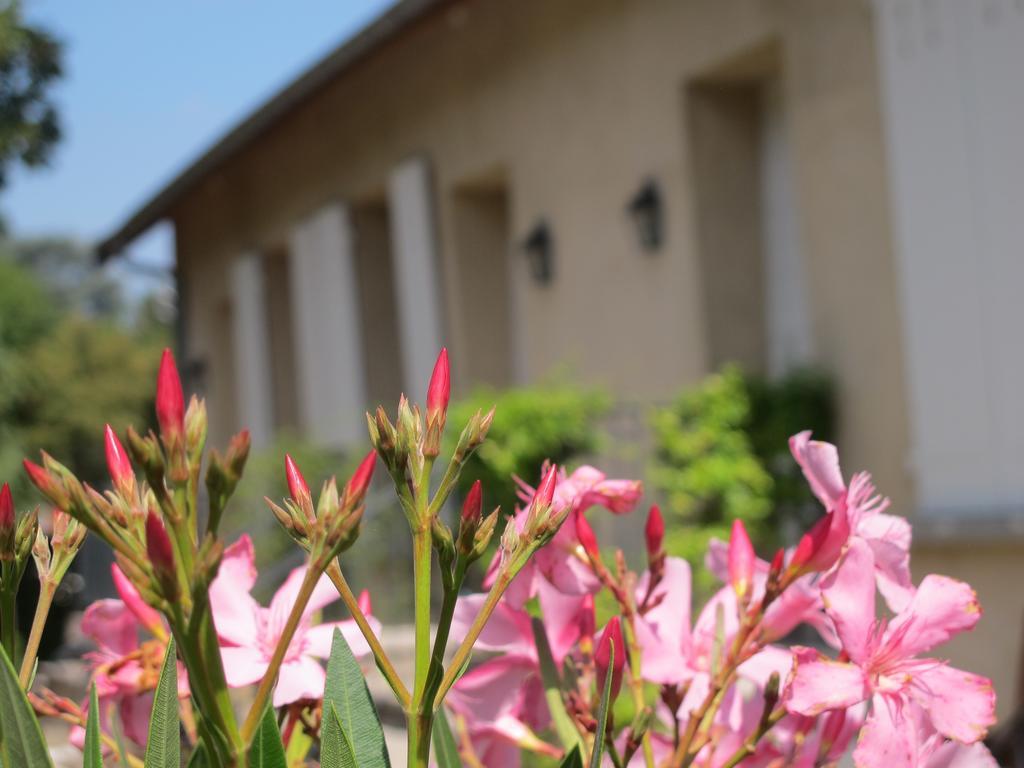 Les Communs Du Manoir Apartment Écully Стая снимка
