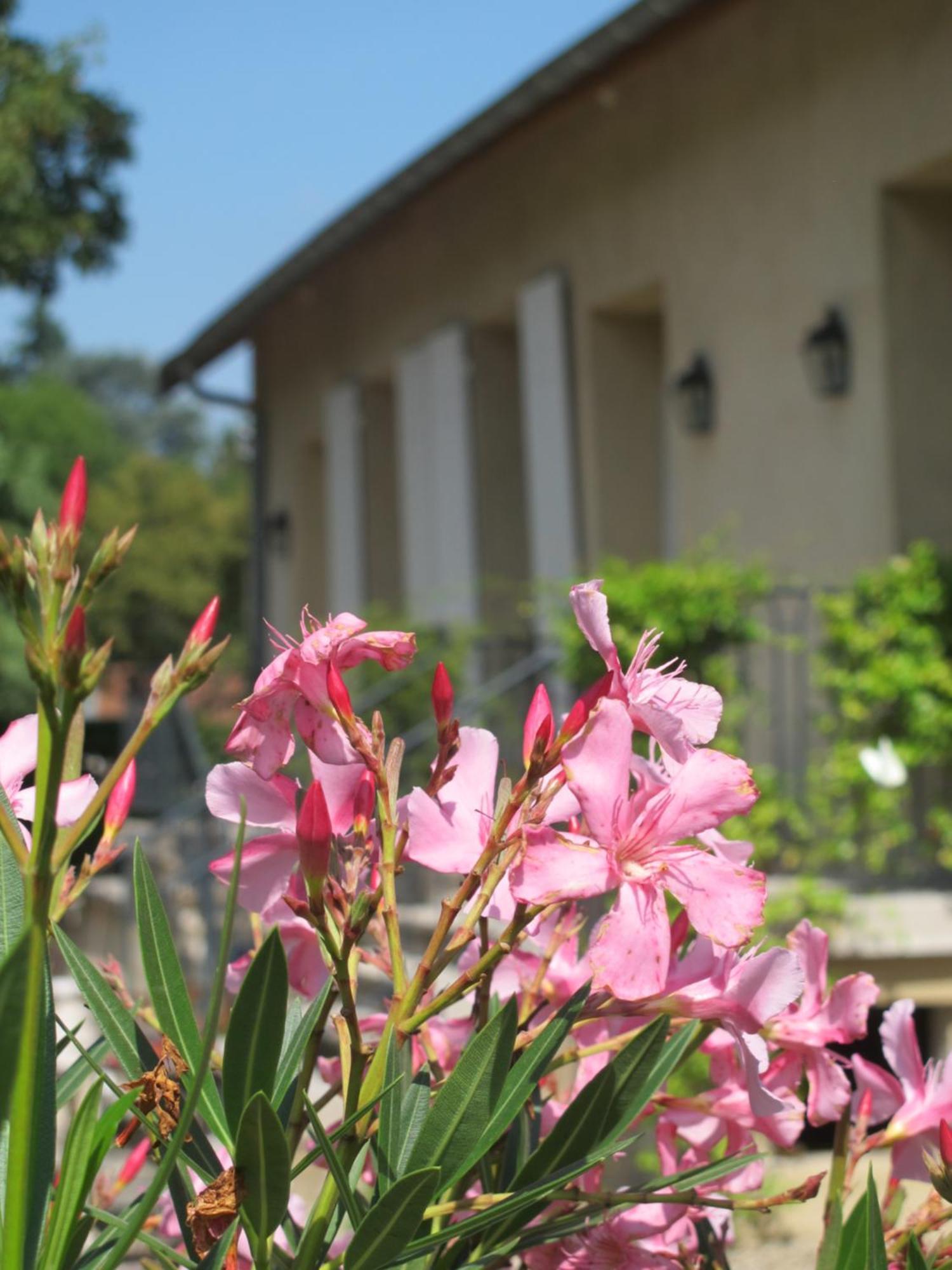 Les Communs Du Manoir Apartment Écully Стая снимка
