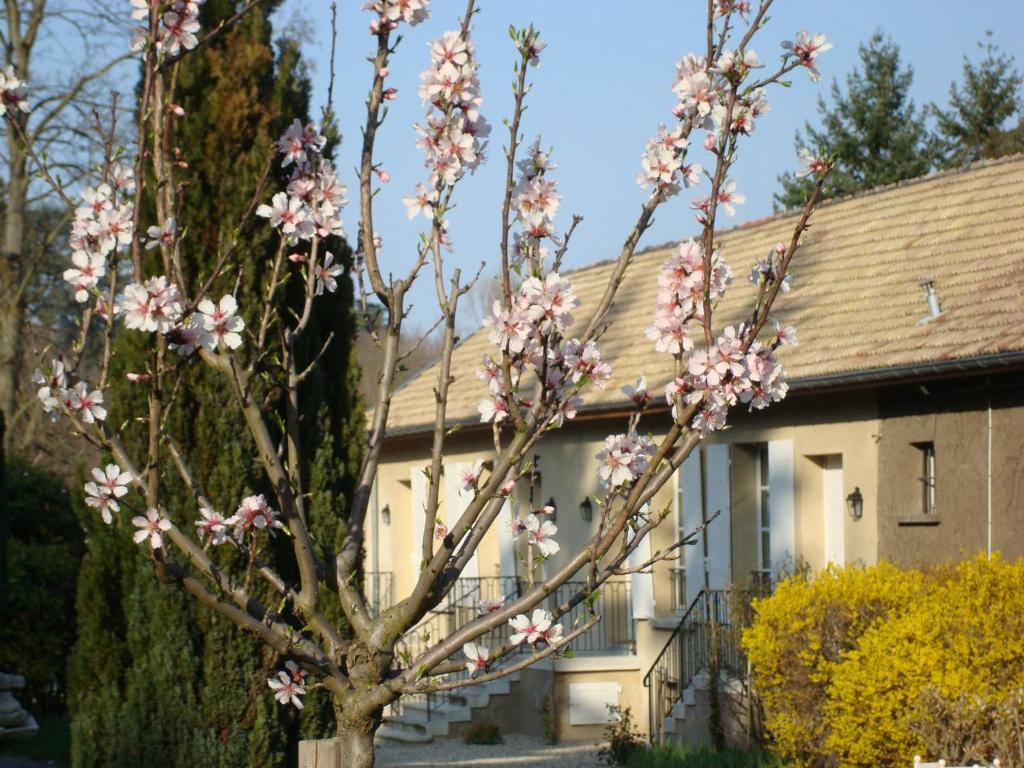 Les Communs Du Manoir Apartment Écully Екстериор снимка
