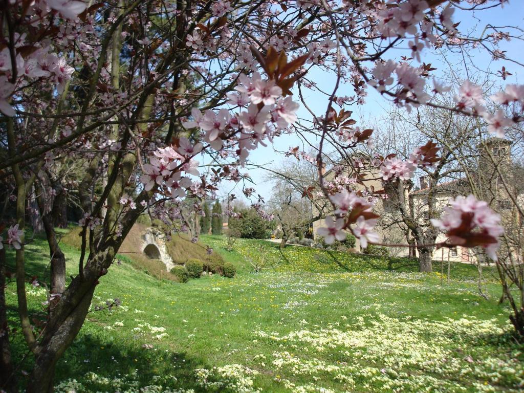 Les Communs Du Manoir Apartment Écully Екстериор снимка