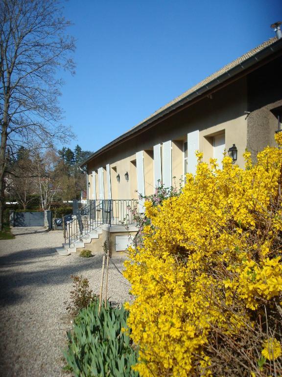 Les Communs Du Manoir Apartment Écully Екстериор снимка