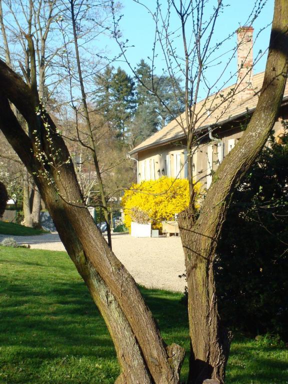 Les Communs Du Manoir Apartment Écully Екстериор снимка